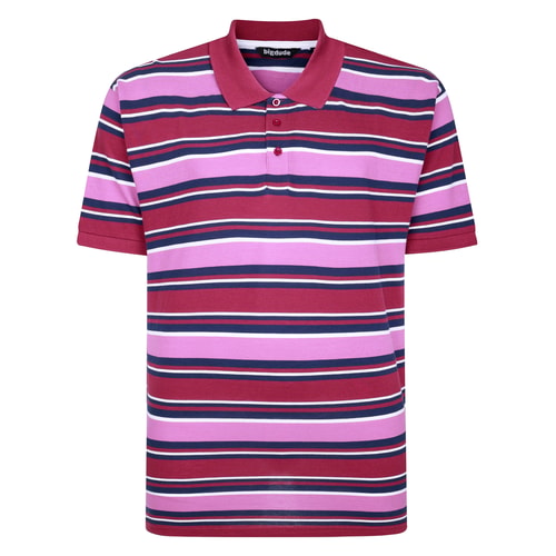 Front view of cassis striped short-sleeve polo shirt.